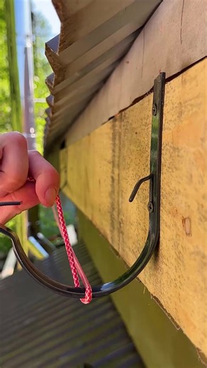 Panda Curioso on Reels