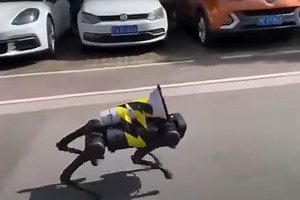 Creepy ROBOT dogs patrol city to enforce world’s strictest Covid lockdown