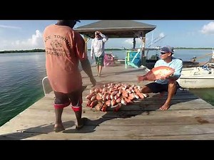 Boat trip from West Palm to Grand Cay Bahamas with deep dropping in 600 plus feet