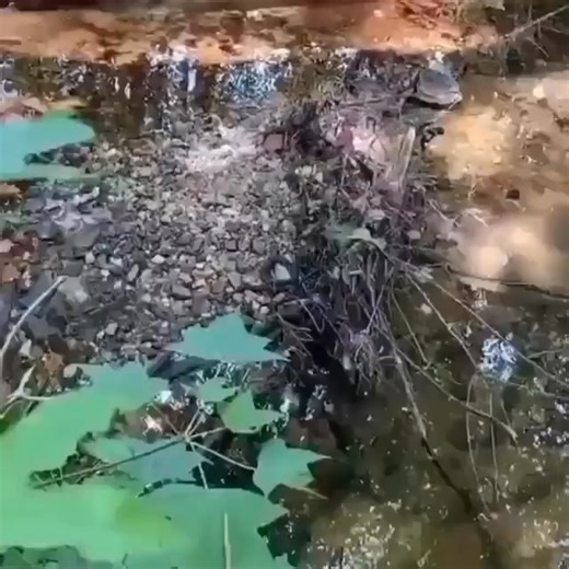 201K views · 2.4K reactions | AnimeComics on Reels | Facebook