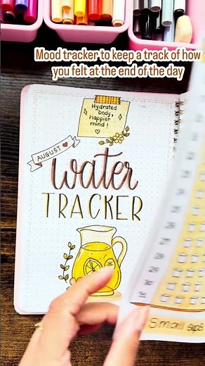 Cozy August Bullet Journal Flip Through | Minimal & Functional Spreads #bulletjournal #bujo