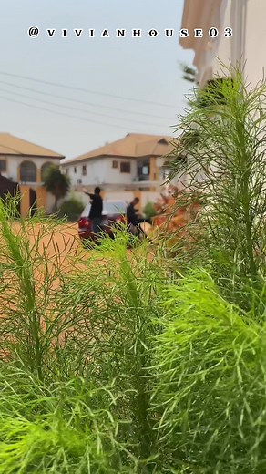 The loyalty test and prank. Part 1