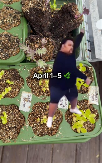 April Is Coming in Hot 🔥Planting Dates #gardening #shorts #springgarden