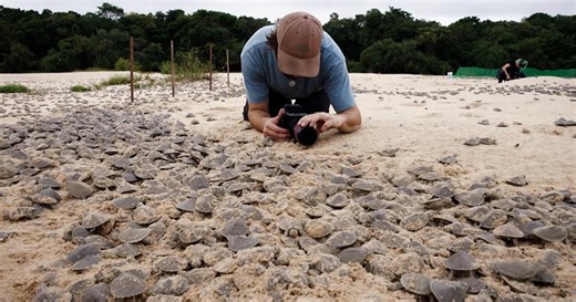 Parenthood Diaries: Behind the Scenes