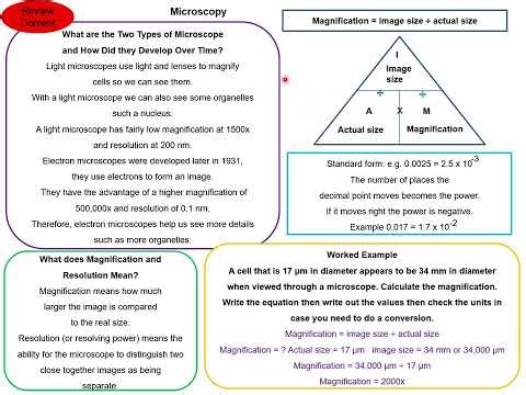 GCSE Biology AQA Edexcel Guided Tutorial 2