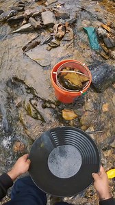 384K views · 368 reactions | I love this classifier #gold #emas #goldpanning #goldprospecting #goldprospector #goldfever #goldrush #treasure #treasurehunt #treasurehunter #oro #goldnugget #goldnuggets #goldmining #goldminer #goldmine #geology #minerals #gemstones #bedrockminecraft | FishnGold | Facebook