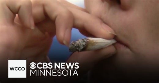 New data shows how much money recreational cannabis is making in Minnesota