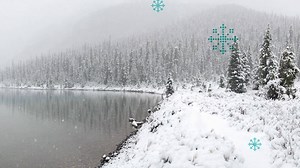 331K views · 348 reactions | Happy holidays from all of us at Brighthouse Financial ❄ | Brighthouse Financial | Facebook