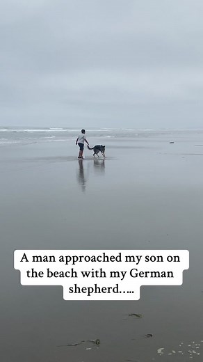 German Shepherd Protectiveness: A True Guardian Story