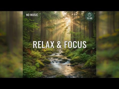 10 Hours of Gentle Babbling Brook Sounds 🌿 Relaxing Creak Stream for Sleep, Study & Stress Relief