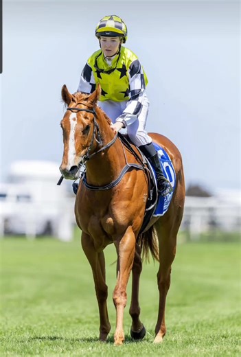 Act Of Treachery gets the win at her first start ⭐️ 3 wide the trip, Rory stuck on well to win over 900m. Thanks to our team of riders and people behind the scenes. Nicely ridden by Sophie Potter and great effort for her owners and good to see Gummy's colours back and winning 💪 | Springfield Farm