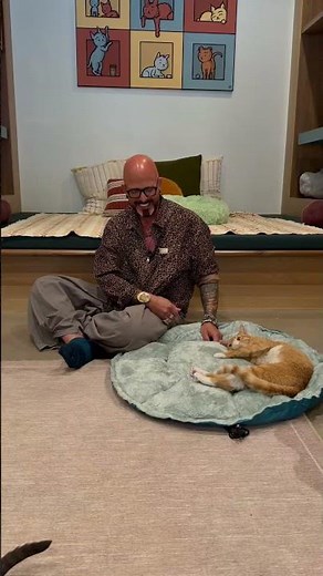 A photo shoot at a cat cafe sounds glamorous. Friends, it was chaos (the best kind!)