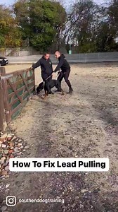 869K views · 4.9K reactions | Lead Walking Is Very Simple 1. Use the...