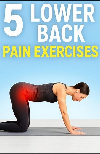 Top 5 Lower Back Exercises for Strength, Stability & Pain Relief