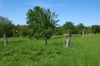 Learn IDP in Databricks in Under 2 Hours! | Alex Freberg