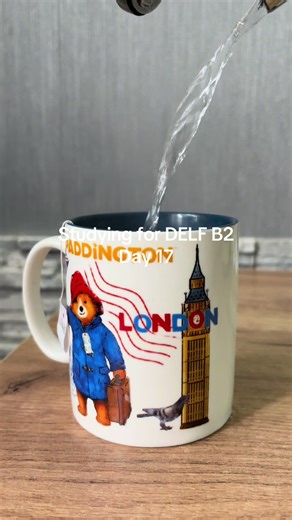 Studying for DELF B2: Day 17 Progress