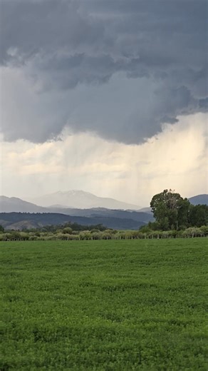 21K views · 1.5K reactions | I'm at home for a few days getting some things taken care of but it's stormy outside and I always love watching rain over the Caribou Mountains from my yard... Star Valley Wyoming | T. Lyn Neufeld Photography | Facebook