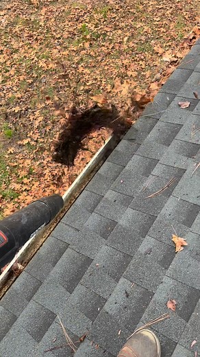 These gutters didn’t need a cleaning… they needed an intervention. We handled it. | Clean Cut Landscaping | Facebook