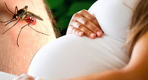 Malaria In Pregnancy: How Does It Affect Pregnant Woman And The Developing Baby? | TheHealthSite.com