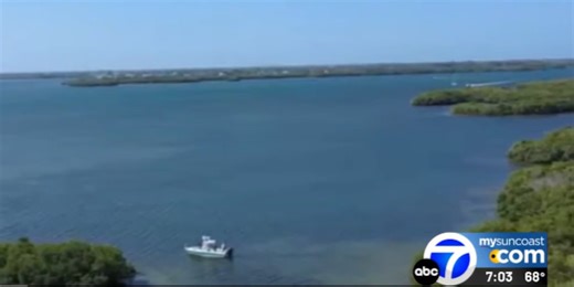 Opposition to mega cruise ship port in Manatee County gaining momentum