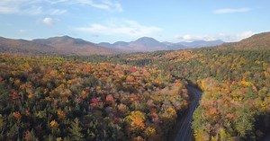 Windows to the Wild:White Mountain National Forest - Wild Moments