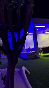 Τοποθέτηση σε 24 ώρες. Ζήσε το αύριο, σήμερα. | Cyprus Home Grass