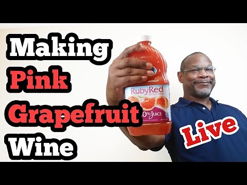Making Pink Grapefruit wine: 1 Gallon - Live