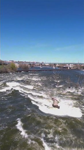 Appleton Dam FLOODING Right Now 😳 (Drone Footage) #flooding #appletonwi