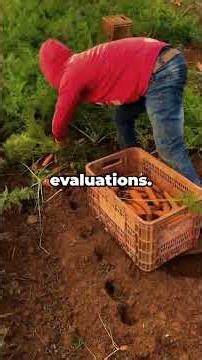 He Asked Me To Adopt Me