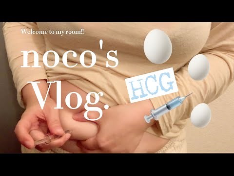 \\noco's vlog/採卵準備/HCG注射/1人目妊活中☺︎/夫婦で妊活/