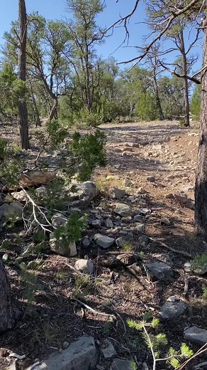 Exploring Nature with a Red Jeep Wrangler