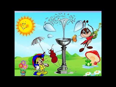 Cri Cri El chorrito
