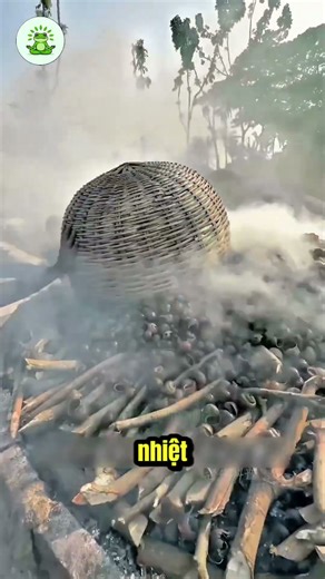 Unraveling the Process of Producing Lime from Snail Shells Helps Save Costs!