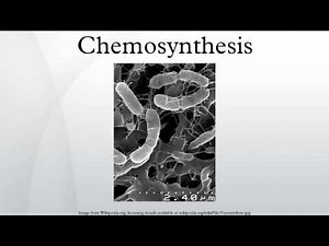 Chemosynthesis