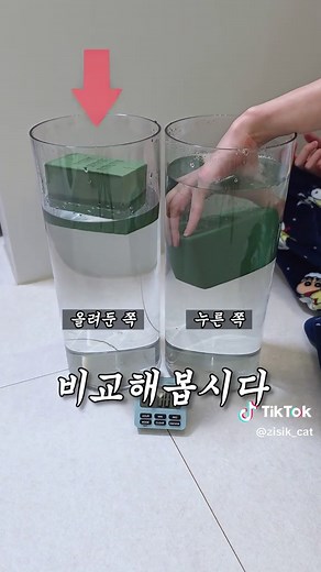 과학으로 알아보는 젖는 속도 실험