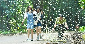 Triệu cánh bướm rập rờn "níu chân" khách ở rừng già Cúc Phương