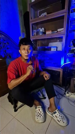 cheap RGB spotlights