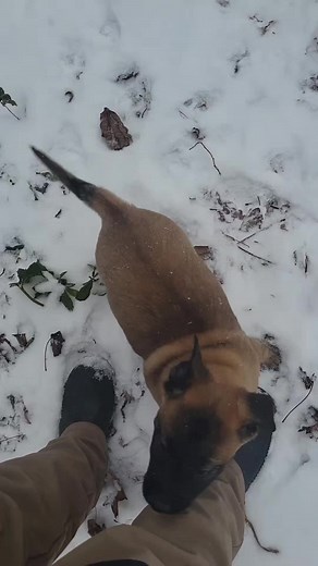 Bea beas (@beabeakidz)’s videos with original sound - Bea beas