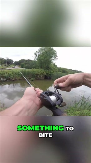 BIG BASS SMASHES Hair Jig!