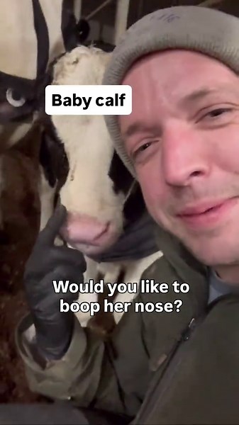 Live in Ontario? Comment “🇨🇦” if you would like to see Moral Milk in Ontario What is Moral Milk: • Calves are raised by their mothers • Cows form lasting maternal bonds • Calves learn social behaviors naturally • Cows have access to pasture Coming soon!!!! #moraleats #moralmilk #cowithcalf #calfatfootdairy
