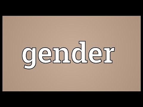Gender Meaning