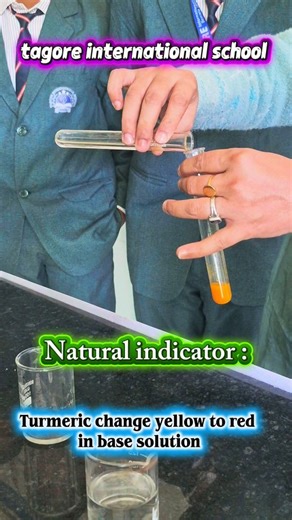 Tagore International School Devrala on Instagram: "natural indicator experiment, turmeric indicator experiment, turmeric as natural indicator, acid base indicator experiment, natural indicators chemistry, turmeric acid base test, school chemistry experiment, easy chemistry experiment, chemistry practical class 7 8 9 10, acids and bases experiment, home chemistry experiment, science reel india, science experiments for students, cbse chemistry practical, science teacher reels, chemistry lab experi