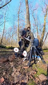 People sometimes say they’d love to switch jobs with me, but as most of you understand, this is just an expensive hobby. If you have any questions for me, feel free to ask them here! For those who truly appreciate what I do, I’ve started a Patreon. There, I’m posting all my long videos—both with and without music for the nature sound purists—along with bonus clips and extra photos. It’s $5 a month, with the first seven days free. Link in the comments! | Squirrels by Fotoscenen