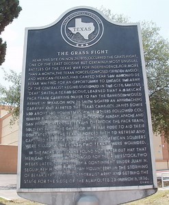 Grass Fight ~ Everything You Need to Know with Photos | Videos