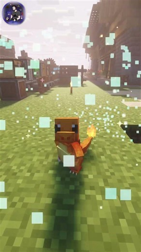 Le PREMIER CHAMPION sur ALL THE MON ! (Et des types pour les joueurs??)