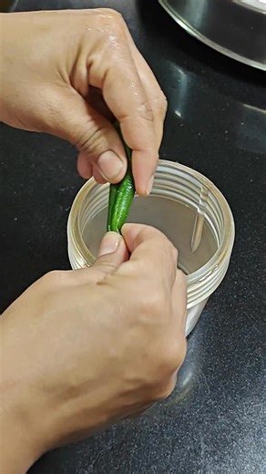 पहाड़ी रायता एकदम देसी तरीके से बनाएंगे l #samyascookingdiary#amlakaachar #aanwalaKaAchar #cooking#cookingvideo​ #food​ lauki ka raita, lauki raita recipe, how to make lauki raita, lauki raita with mustard, bottle gourd raita, ghiya raita, kaddu ka raita, raita recipe, kheere ka raita, rai ka raita recipe, samya's cooking diary,how to make rai ka raita, rai ka raita recipe in hindi, rai ka raita, raita kaise banta hai, turai ka raita, raita banane ki vidhi, doodhi raita, how to make pahadi raita