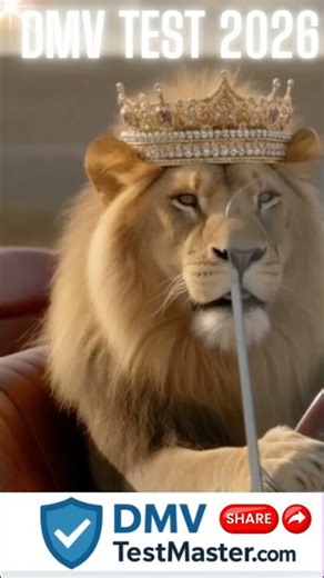 DMV TEST 2026. DMVTestMaster.com The Best! ⭐⭐⭐⭐⭐