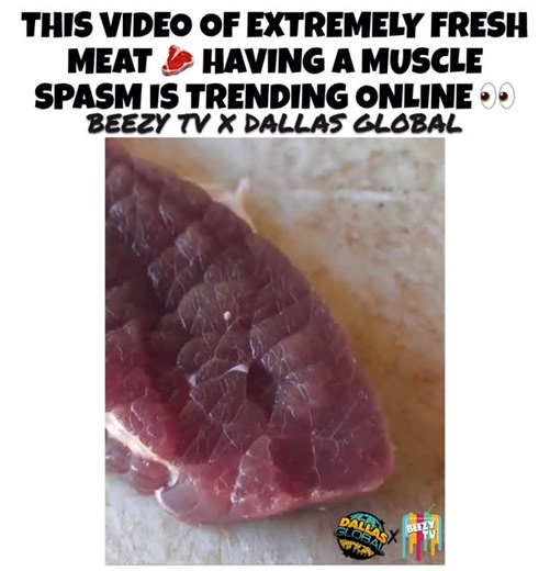 @beezytvlive on Instagram: "A video of extremely fresh meat 🥩 having a muscle spasm is currently going viral online 👀 W or L?! 🤔 Thoughts?! 💭"