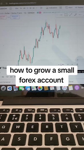 Forex Trading Strategies for Beginners and Beyond