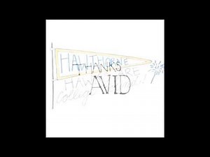 Organization the AVID Way